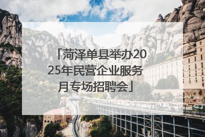 菏泽单县举办2025年民营企业服务月专场招聘会