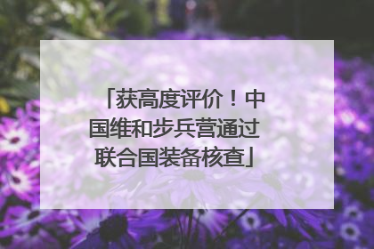 获高度评价！中国维和步兵营通过联合国装备核查
