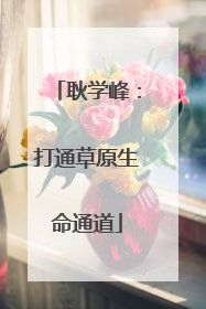耿学峰：打通草原生命通道