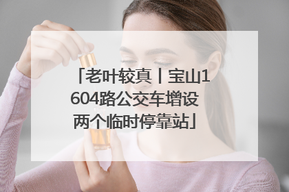 老叶较真丨宝山1604路公交车增设两个临时停靠站