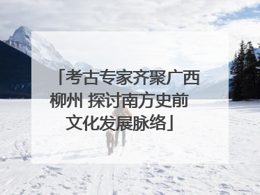 考古专家齐聚广西柳州 探讨南方史前文化发展脉络