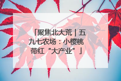 聚焦北大荒｜五九七农场：小樱桃带红“大产业”