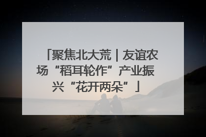 聚焦北大荒｜友谊农场“稻耳轮作”产业振兴“花开两朵”