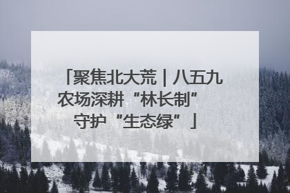 聚焦北大荒｜八五九农场深耕“林长制” 守护“生态绿”