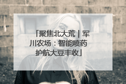 聚焦北大荒｜军川农场：智能喷药护航大豆丰收