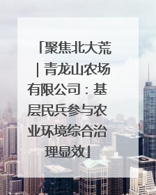 聚焦北大荒｜青龙山农场有限公司：基层民兵参与农业环境综合治理显效