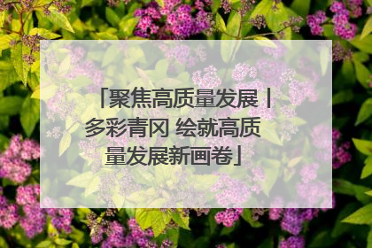 聚焦高质量发展丨多彩青冈 绘就高质量发展新画卷