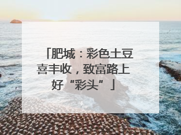 肥城：彩色土豆喜丰收，致富路上好“彩头”