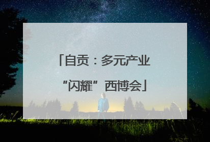 自贡：多元产业“闪耀”西博会