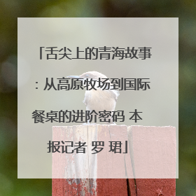 舌尖上的青海故事：从高原牧场到国际餐桌的进阶密码 本报记者 罗 珺