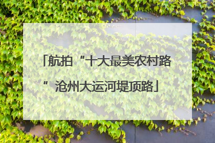 航拍“十大最美农村路”沧州大运河堤顶路