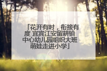 花开有时，衔接有度 宜宾江安留耕镇中心幼儿园组织大班萌娃走进小学
