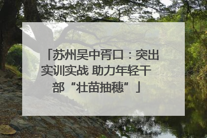 苏州吴中胥口：突出实训实战 助力年轻干部“壮苗抽穗”
