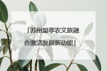 苏州望亭农文旅融合激活发展新动能