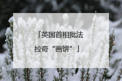 英国首相批法拉奇“画饼”