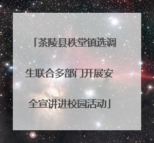 茶陵县秩堂镇选调生联合多部门开展安全宣讲进校园活动