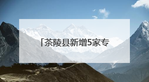 茶陵县新增5家专精特新中小企业