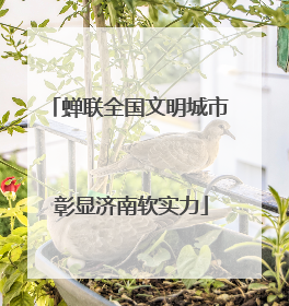 蝉联全国文明城市 彰显济南软实力