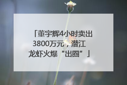 董宇辉4小时卖出3800万元，潜江龙虾火爆“出圈”