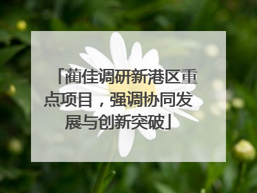蔺佳调研新港区重点项目，强调协同发展与创新突破