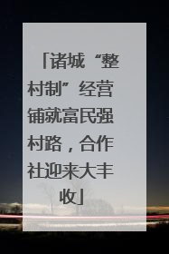 诸城“整村制”经营铺就富民强村路，合作社迎来大丰收