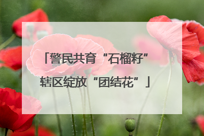 警民共育“石榴籽” 辖区绽放“团结花”