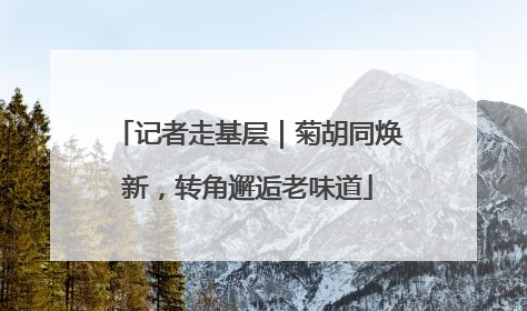 记者走基层｜菊胡同焕新，转角邂逅老味道