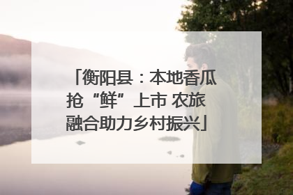 衡阳县：本地香瓜抢“鲜”上市 农旅融合助力乡村振兴