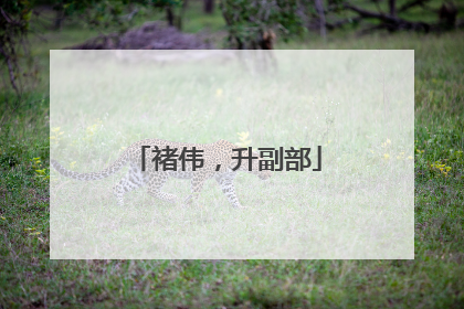 褚伟，升副部