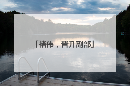 褚伟，晋升副部