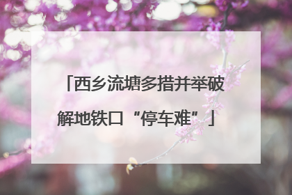 西乡流塘多措并举破解地铁口“停车难”