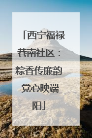 西宁福禄巷南社区：粽香传廉韵 党心映端阳