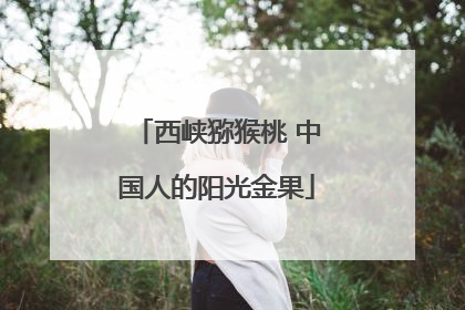 西峡猕猴桃 中国人的阳光金果