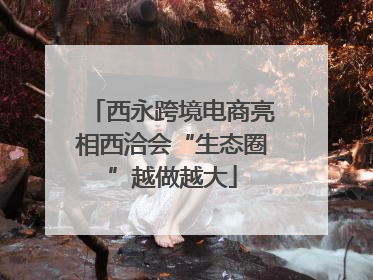 西永跨境电商亮相西洽会“生态圈”越做越大