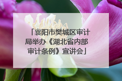 襄阳市樊城区审计局举办《湖北省内部审计条例》宣讲会