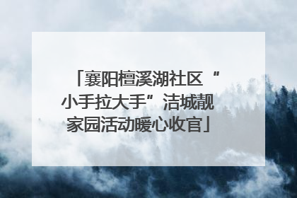 襄阳檀溪湖社区“小手拉大手”洁城靓家园活动暖心收官