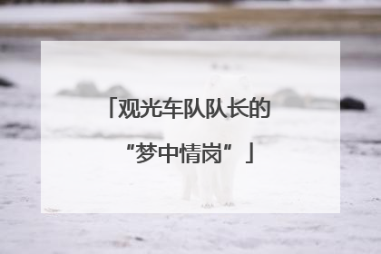 观光车队队长的“梦中情岗”