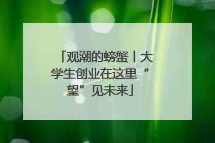 观潮的螃蟹丨大学生创业在这里“望”见未来