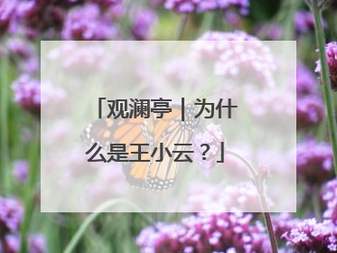 观澜亭｜为什么是王小云？