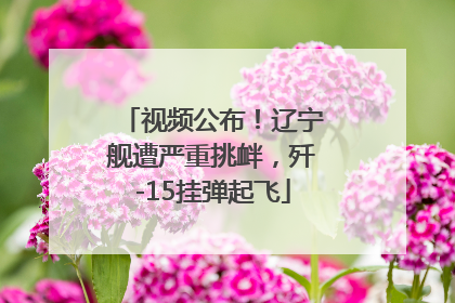 视频公布！辽宁舰遭严重挑衅，歼-15挂弹起飞