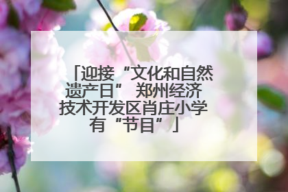 迎接“文化和自然遗产日” 郑州经济技术开发区肖庄小学有“节目”