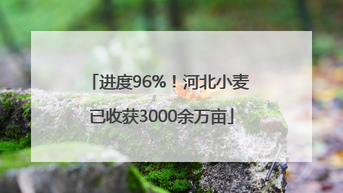 进度96%！河北小麦已收获3000余万亩