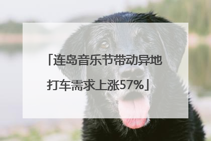 连岛音乐节带动异地打车需求上涨57%