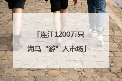 连江1200万只海马“游”入市场