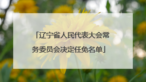 辽宁省人民代表大会常务委员会决定任免名单
