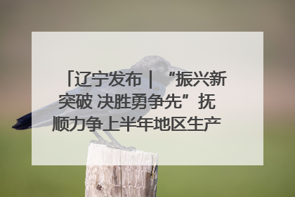 辽宁发布｜“振兴新突破 决胜勇争先”抚顺力争上半年地区生产总值增长7%左右