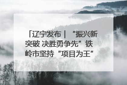 辽宁发布｜“振兴新突破 决胜勇争先”铁岭市坚持“项目为王”推进经济高质量发展