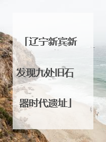 辽宁新宾新发现九处旧石器时代遗址