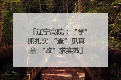 辽宁高院：“学”抓扎实 “查”见真章 “改”求实效