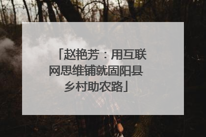 赵艳芳：用互联网思维铺就固阳县乡村助农路